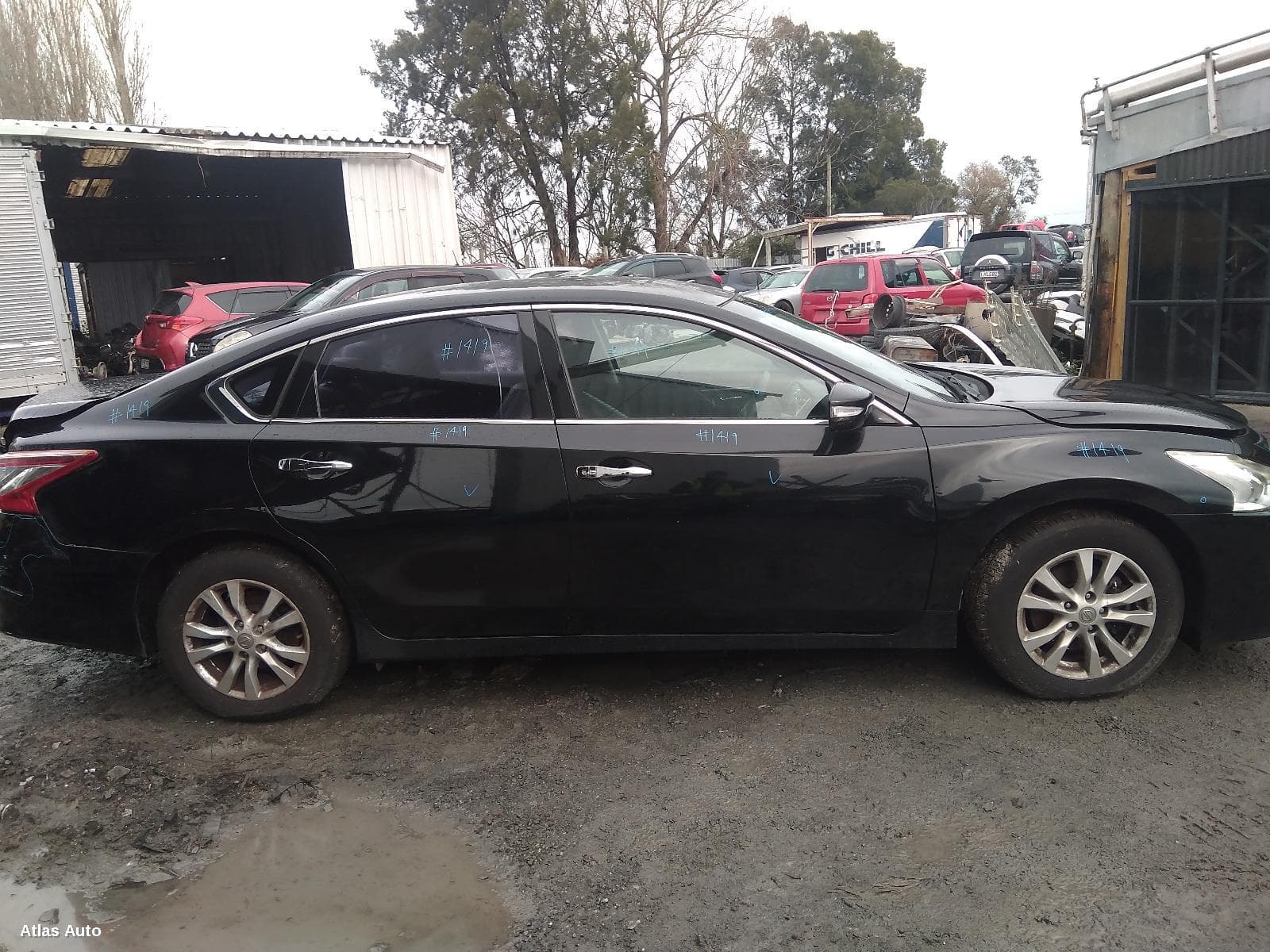Altima