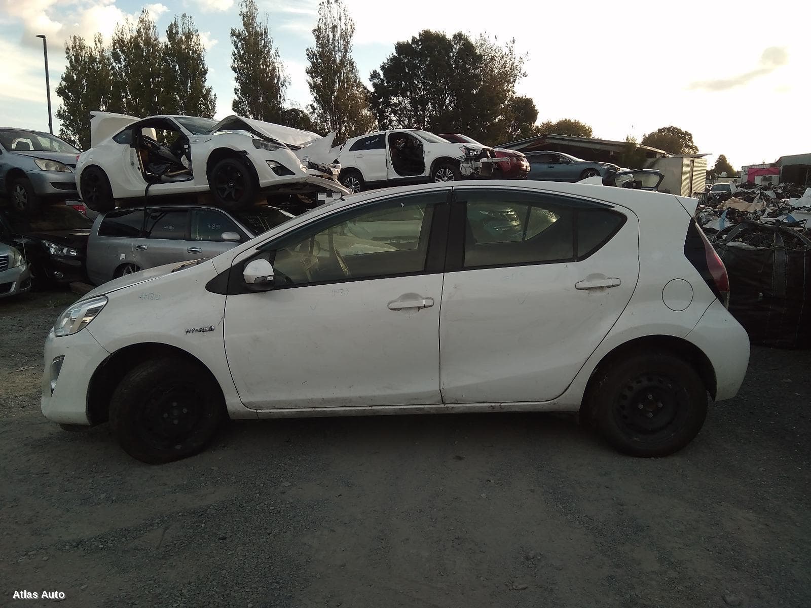 Most stolen cars in New Zealand