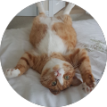 5 Stars Review of Atlas Auto By Liz Parker (OligoceneEpoch) On Google